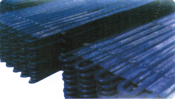 ʡú