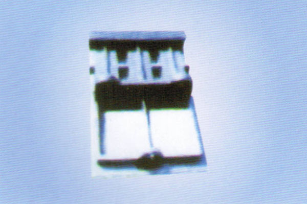 TL-1X